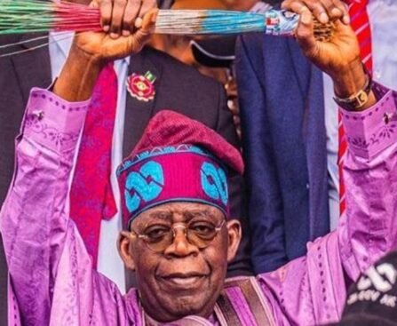 Tinubu wins in Ekiti with 201,494 votes